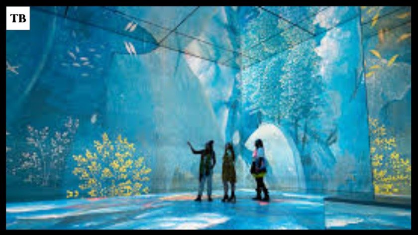 Art Exhibitions London 2026 Best Shows Free Exhibitions  Must-See Events