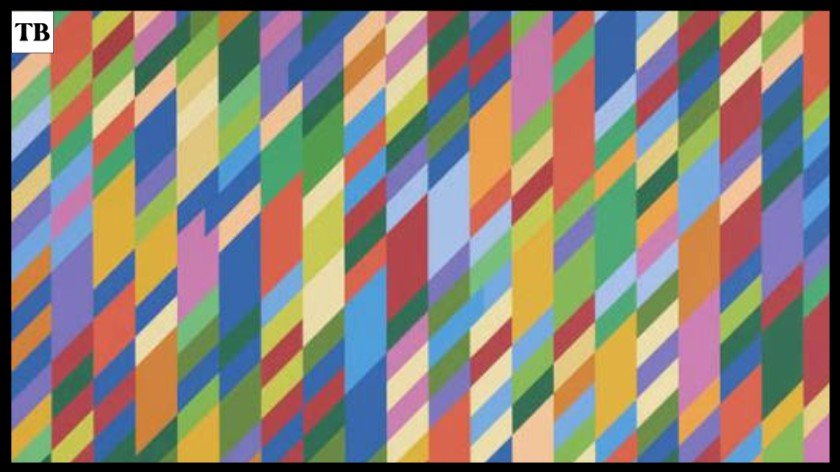 Bridget Riley Art Life and Op Art